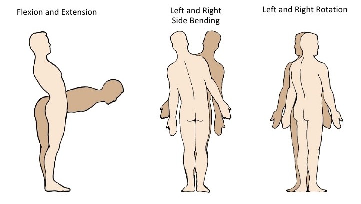 There are five types of movement 