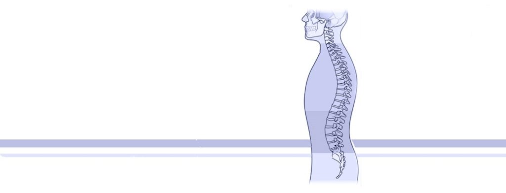 Know-your-spine