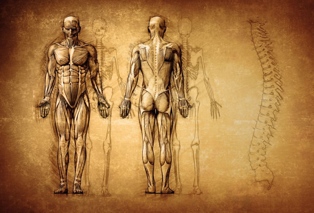 Body-posture-a-wellbeing-factor