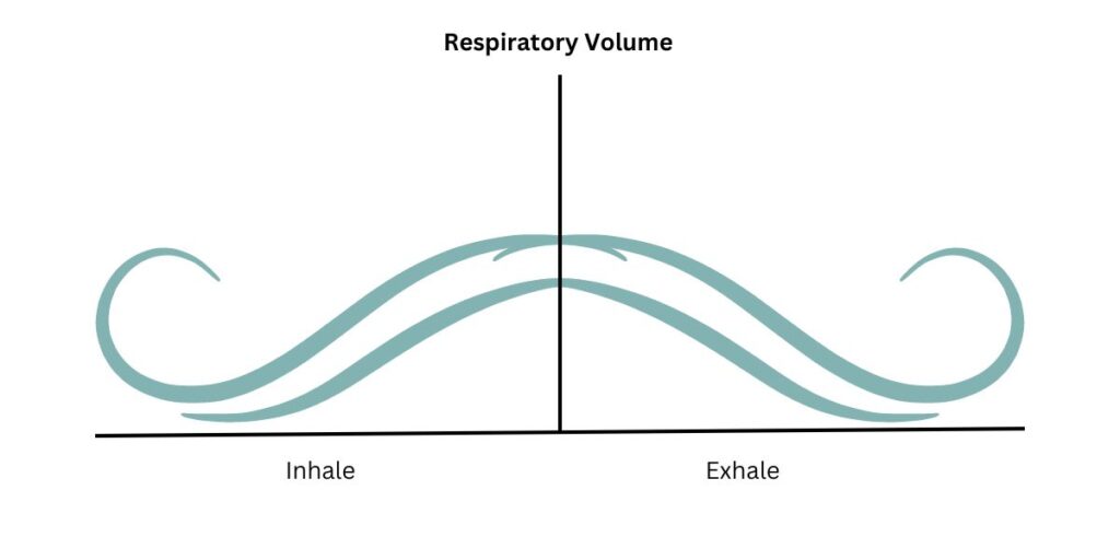 How does the respiratory system work